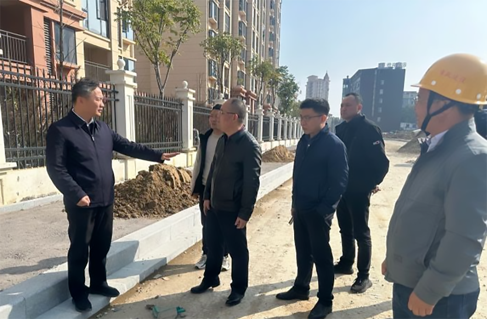 青山湖區(qū)黨委副書記、區(qū)長楊育星到利民路項目調(diào)研